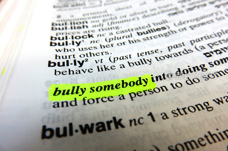 Bully -字典定义
